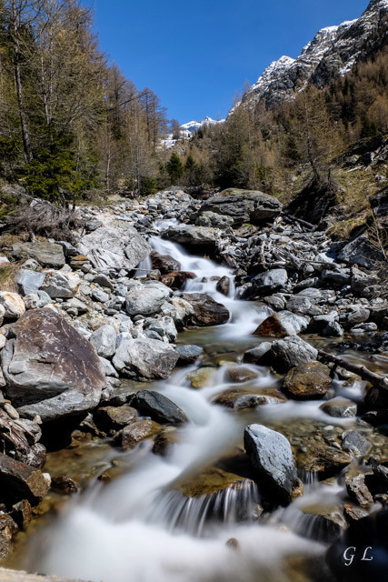 Joli, la Jolibach.