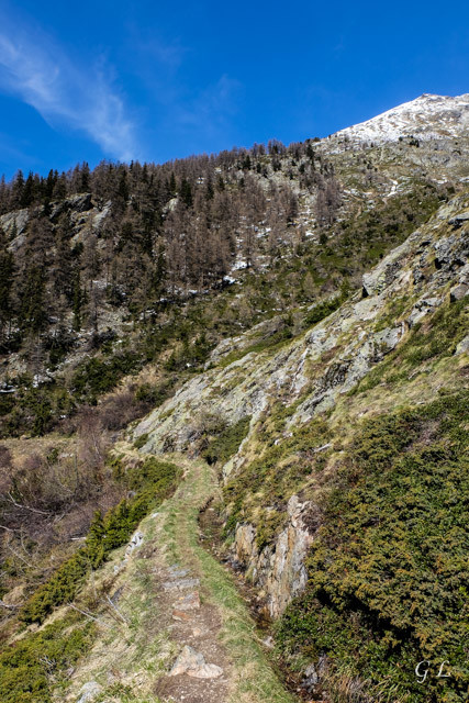 De Joli à Spilbielalpji le long du bisse de Ladusuon.