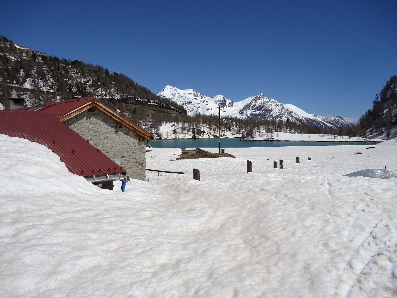 Piz Varuna: spettacolare cartolina dall'Alpe Palù