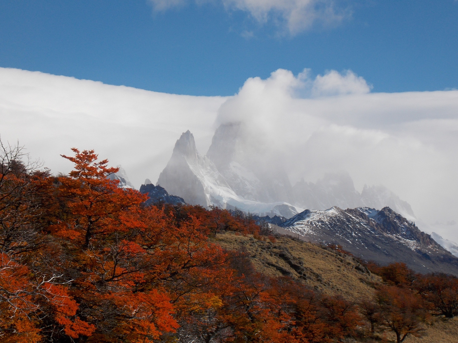 Fitz Roy