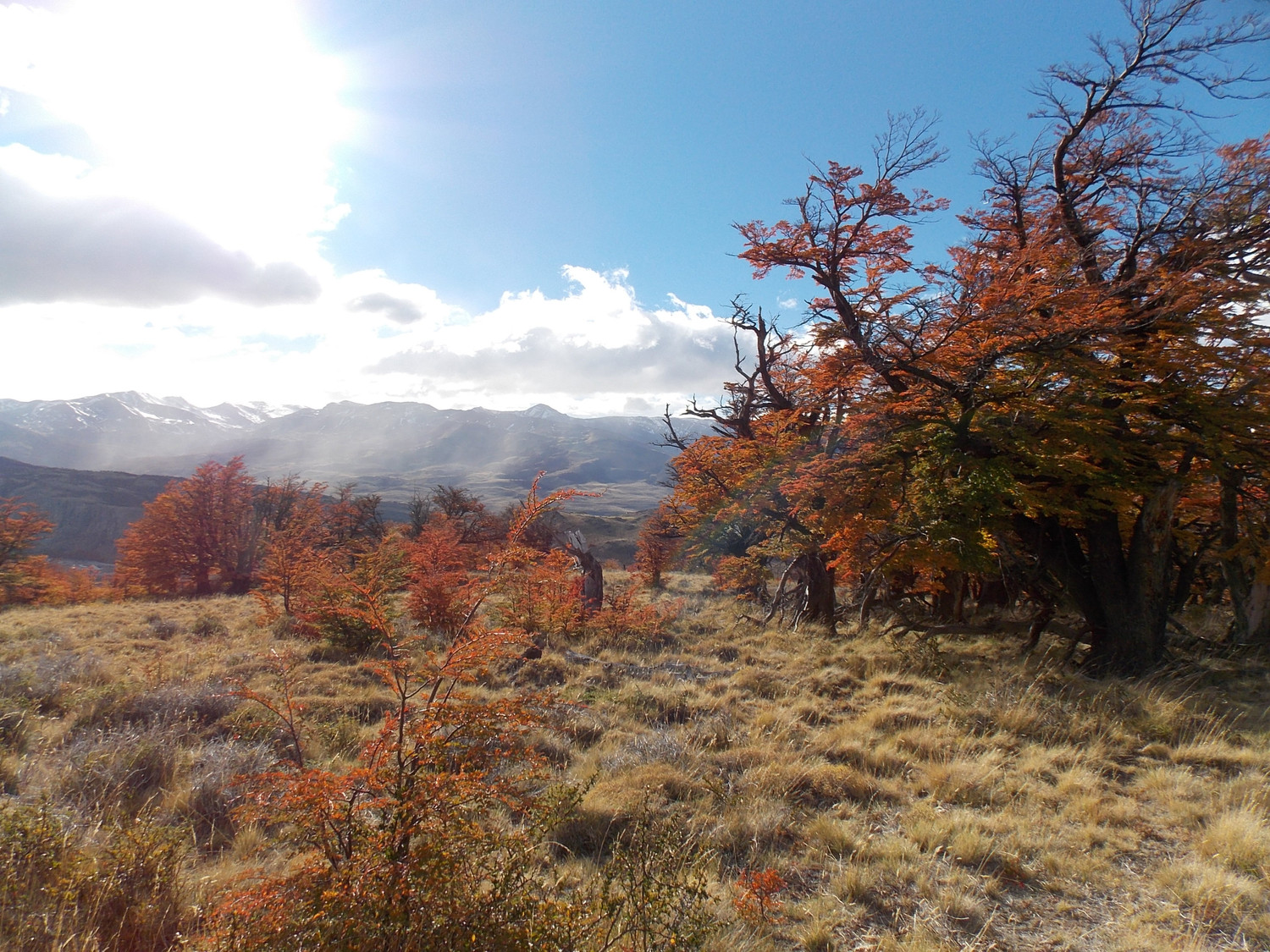 Plateau