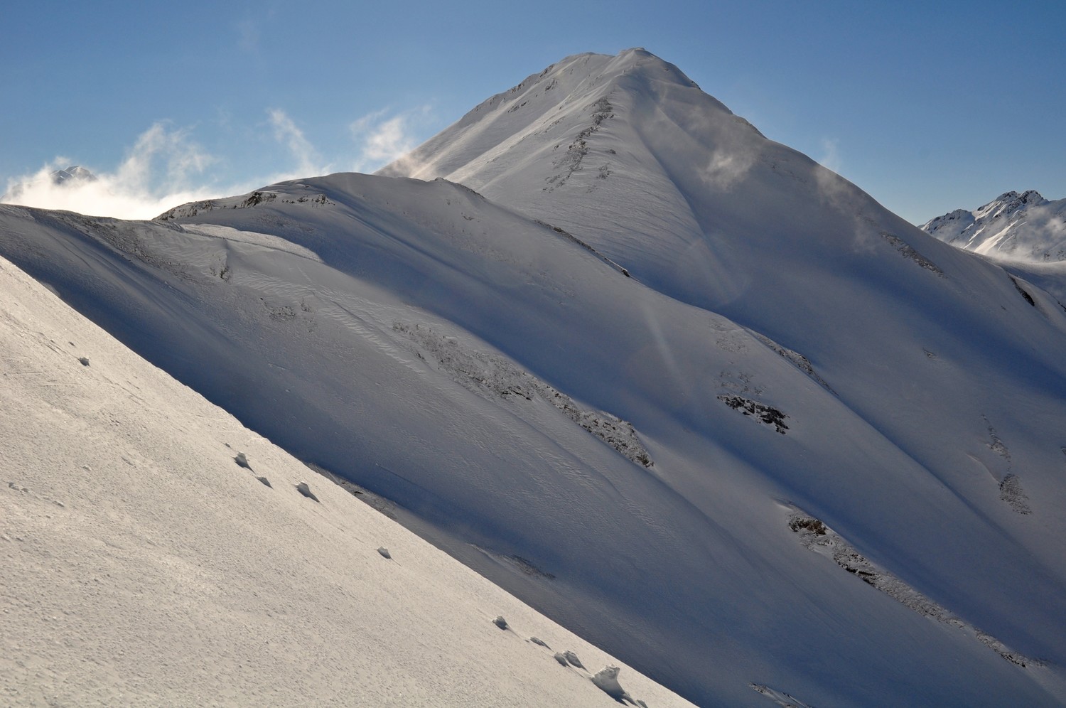tête de ferret dans la tourmense de bise