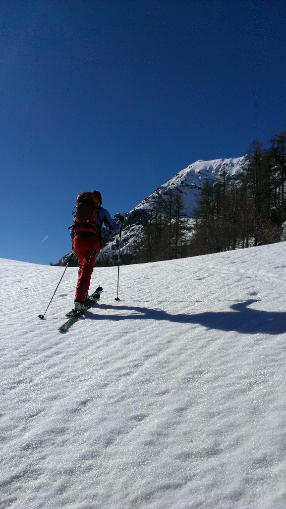 ...giornata ideale per un giretto con gli sci