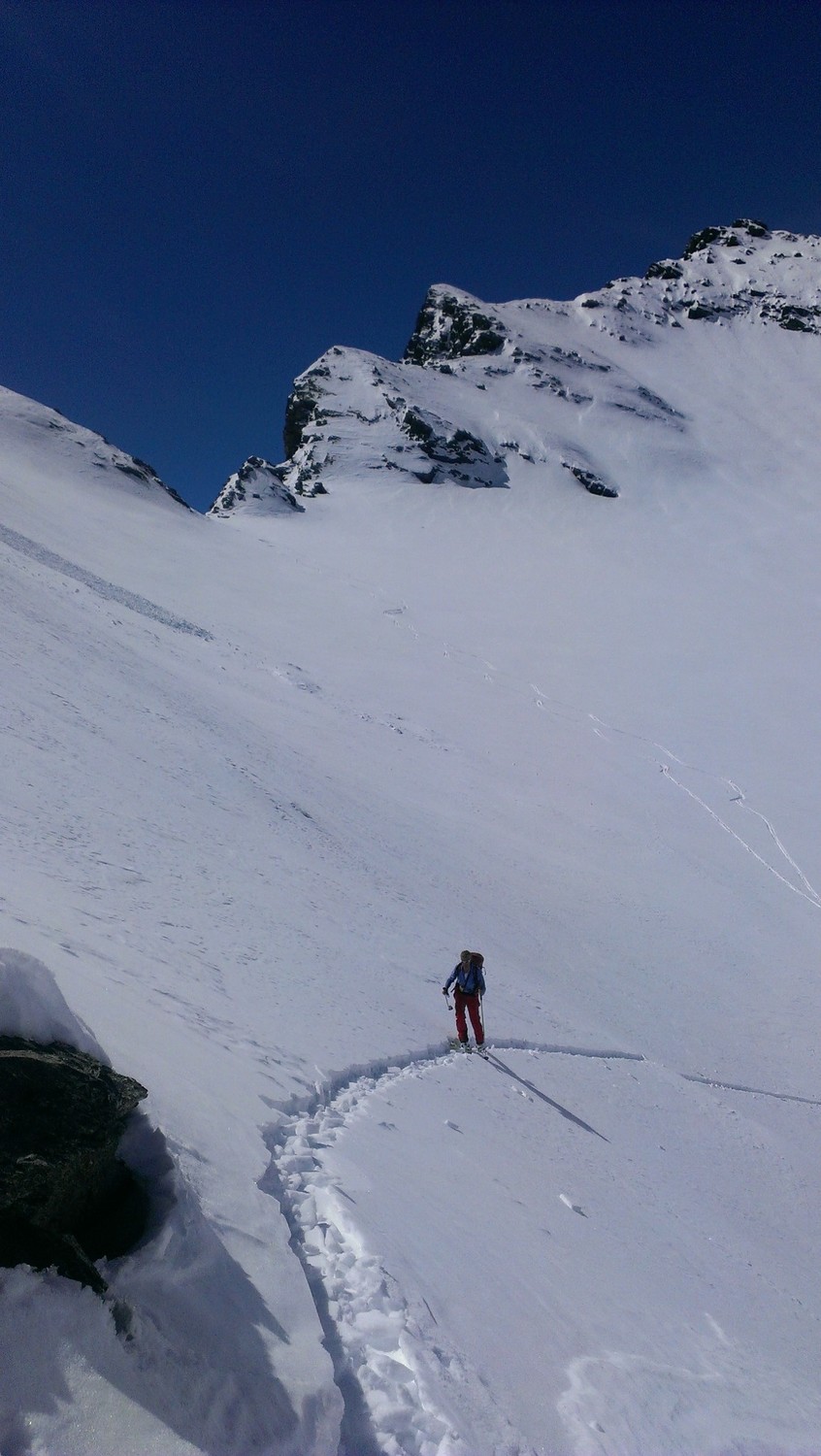 ...lupi solitari!
