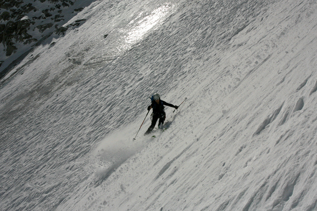 Ellis in action (2)