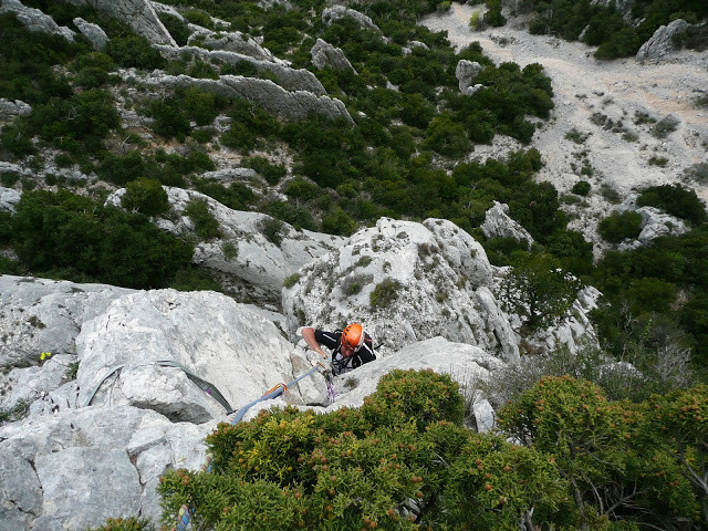 Arête du pin