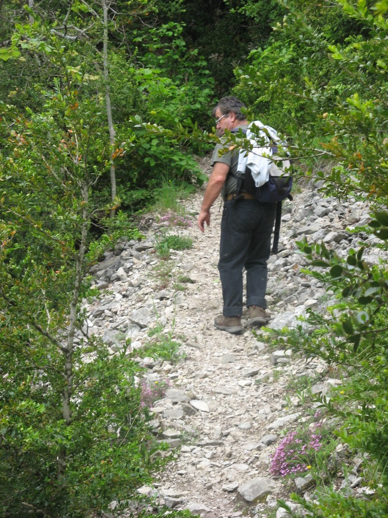 Dans la montée ....... Pénible !!!!