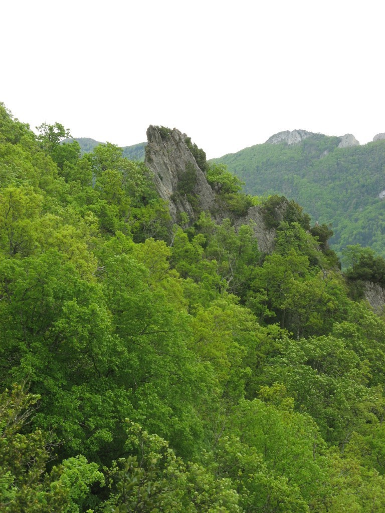 Rocher s dans la montée