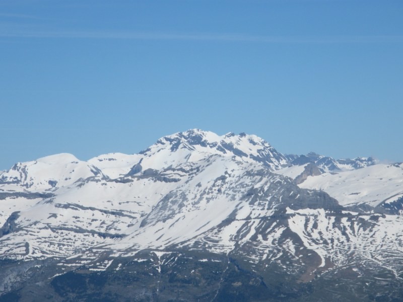 La Munia
