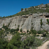 can-llepafils
