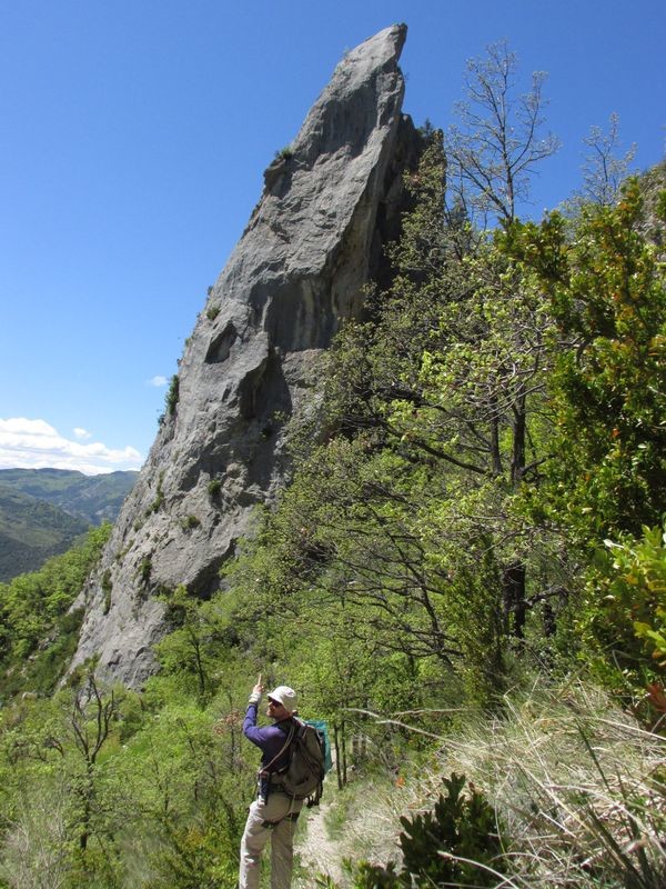 Pilier W de l'Ascle