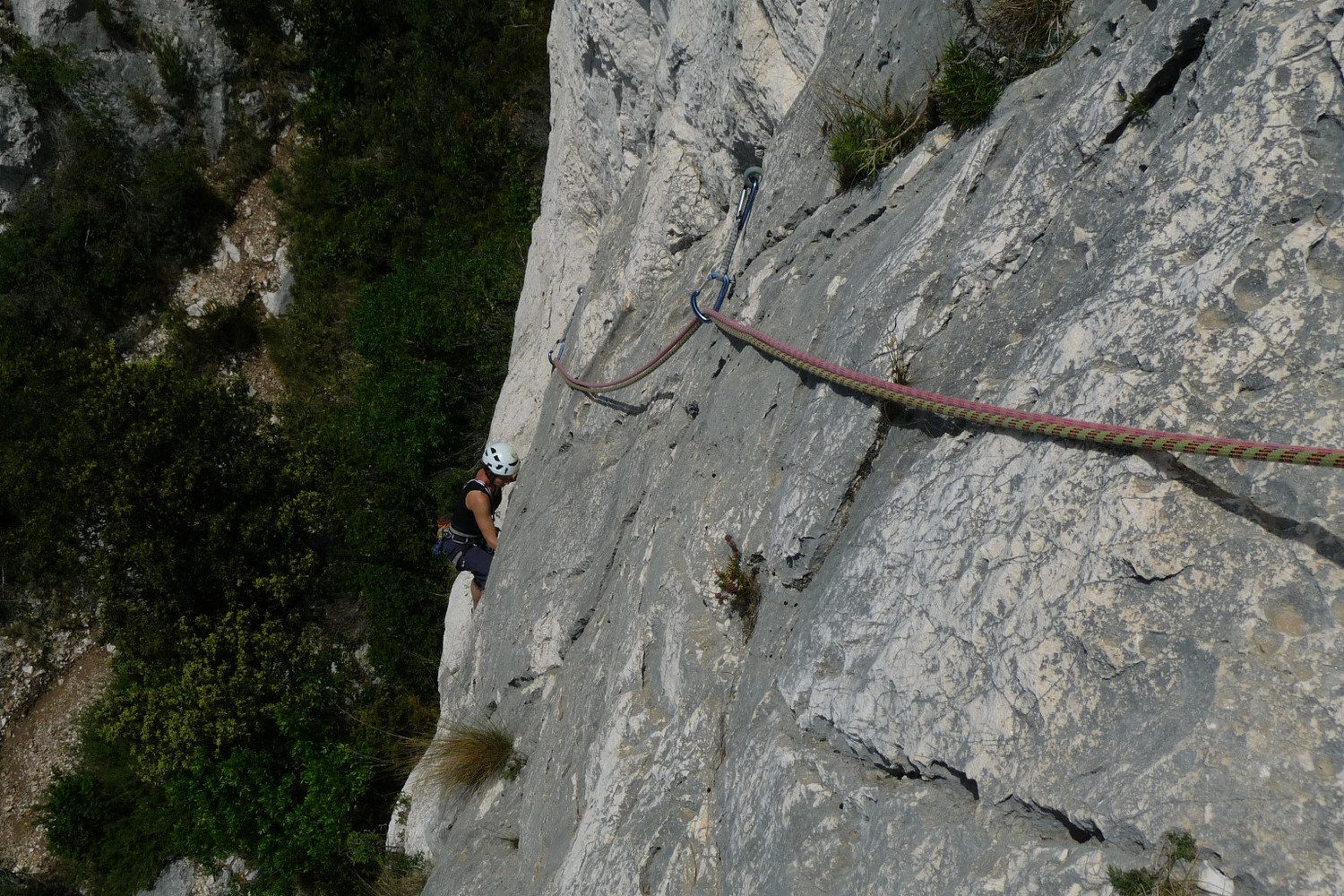 Sylvie dans L1