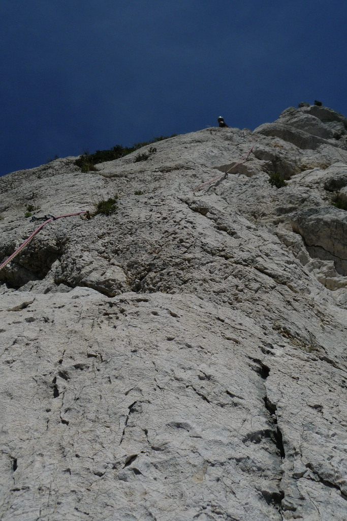 Sylvie dans L3