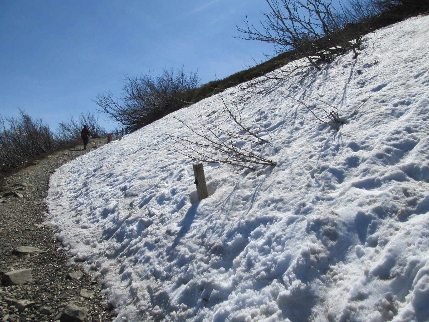 Encore un peu de neige au Grand Ballon