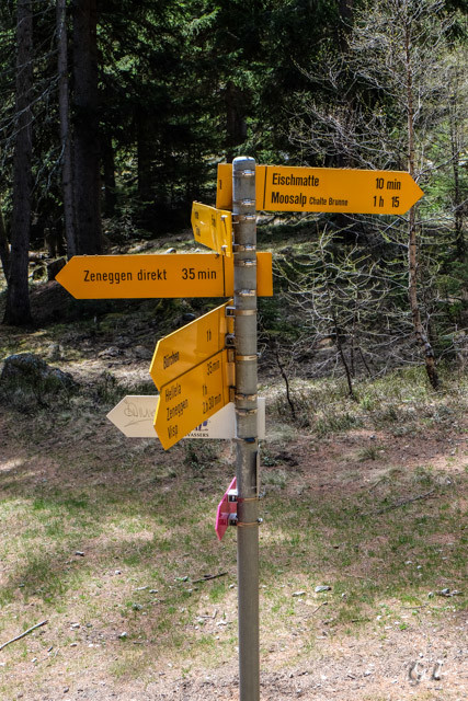 La montée vers Moosalp.