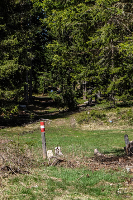 La montée vers Moosalp.