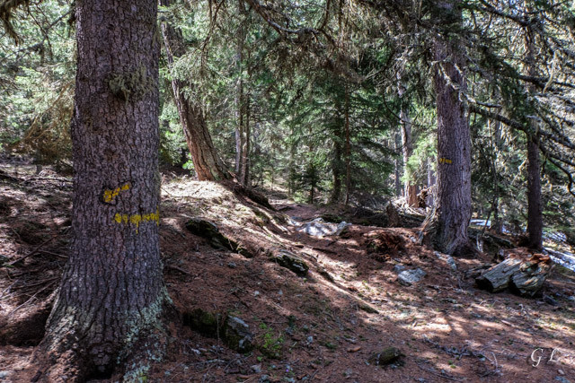 La montée vers Moosalp.