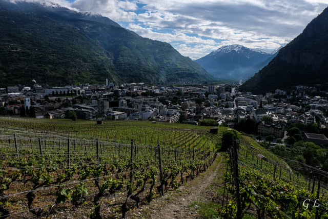 Visp.