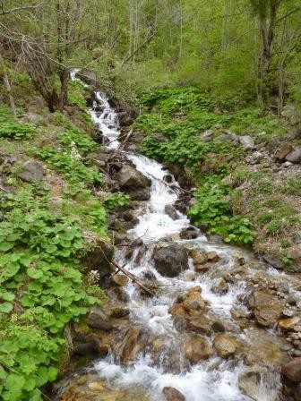 torrent