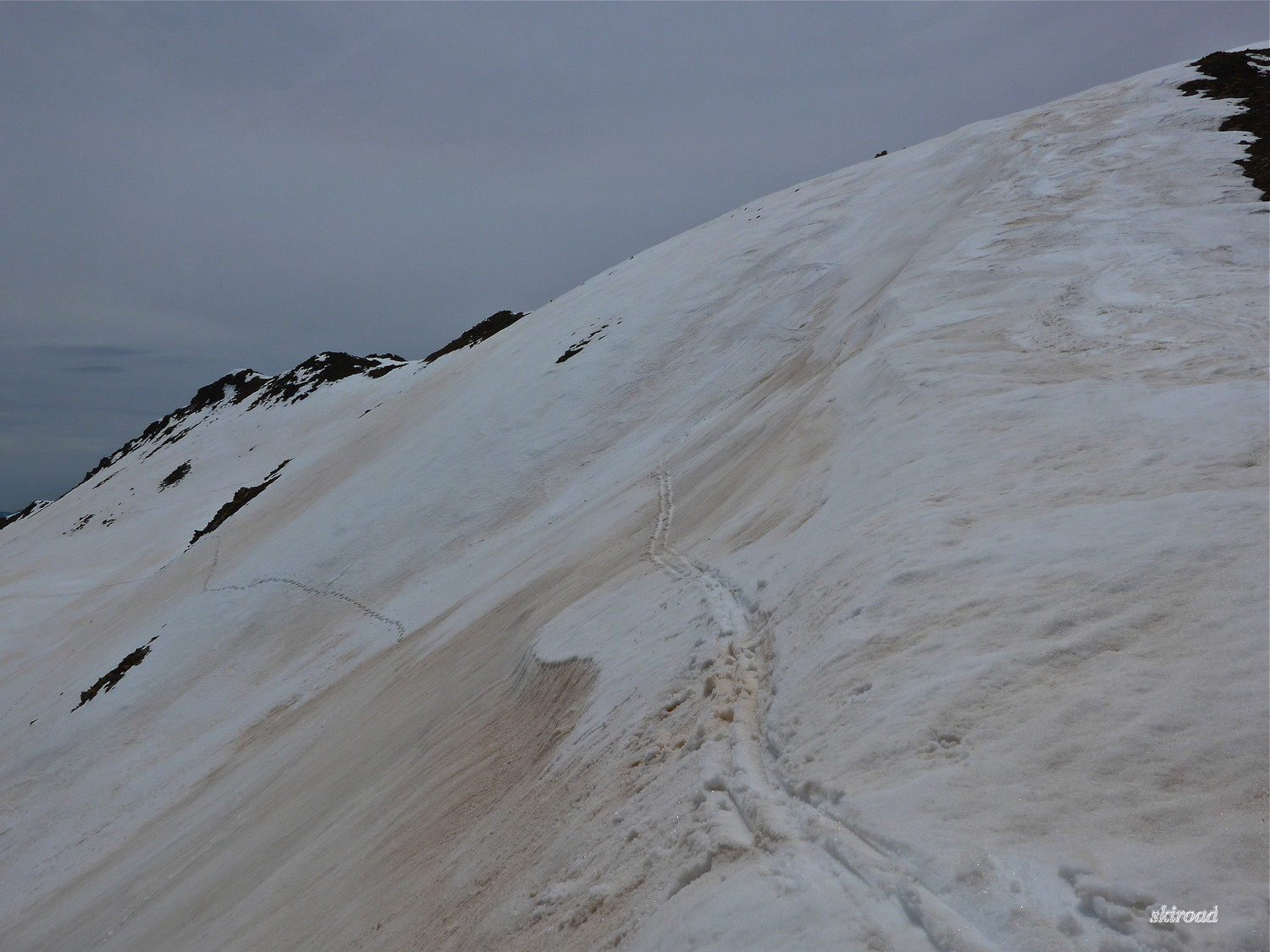 Moquette sous la Cime de la Blanche.