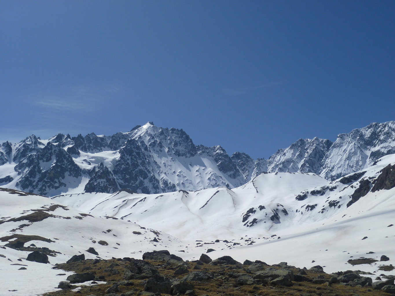 Les agneaux