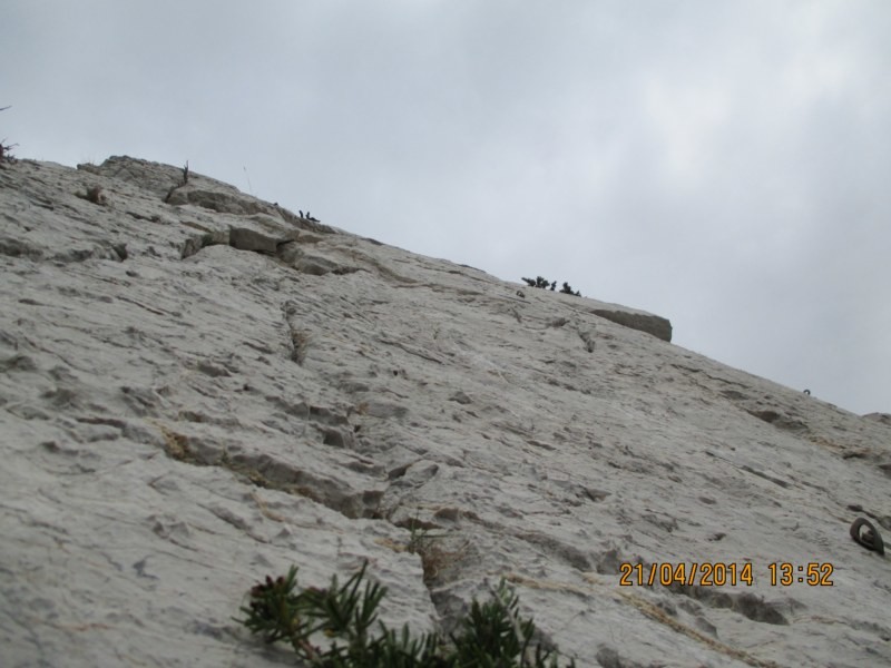 L5 sortie en 5c