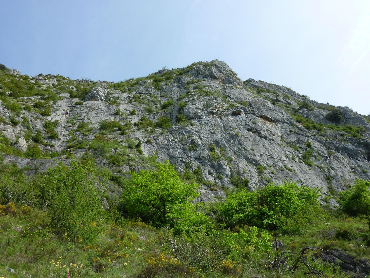 pilier cathares