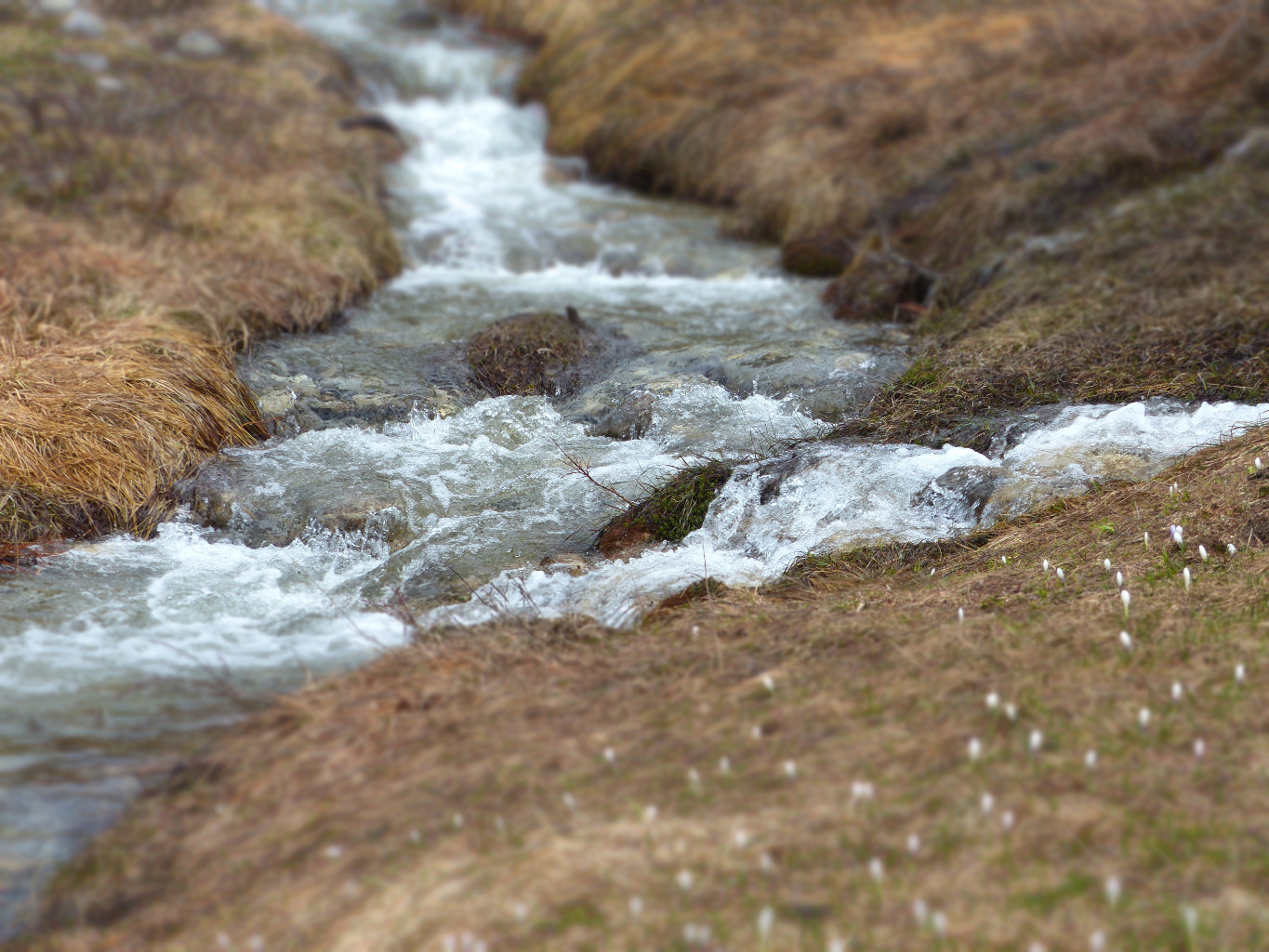 de l'eau rien que de l'eau...