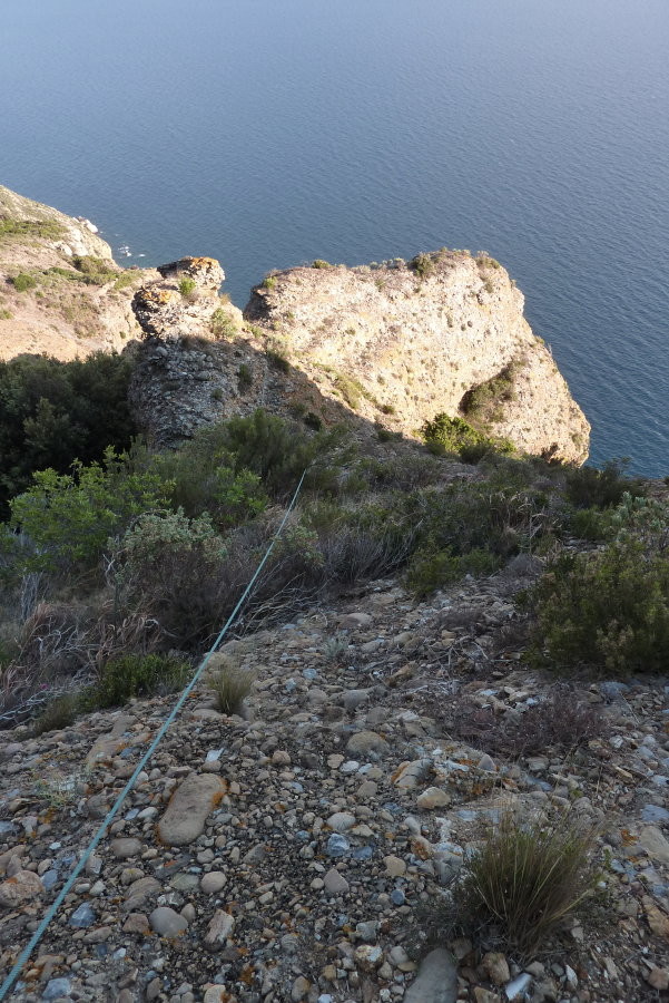 Arête de sortie