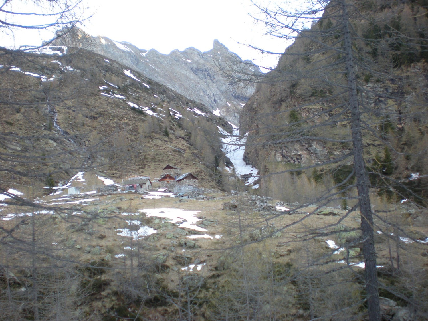 Alpe di Pozzo ed il torrente di discesa