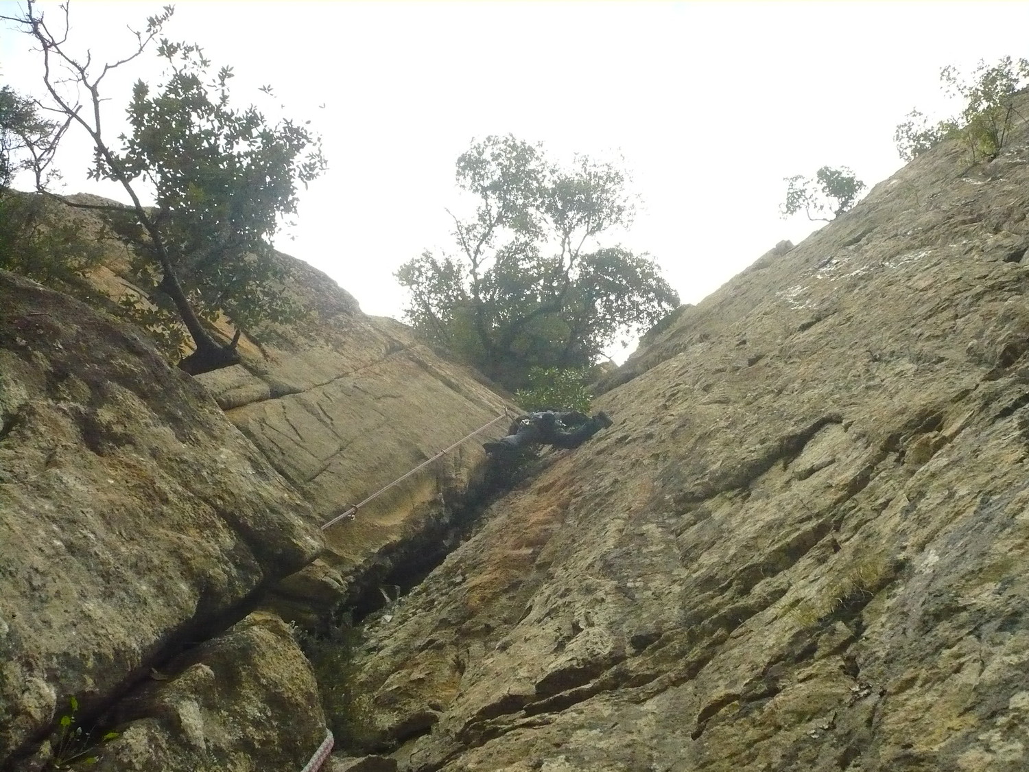 dièdre de L1