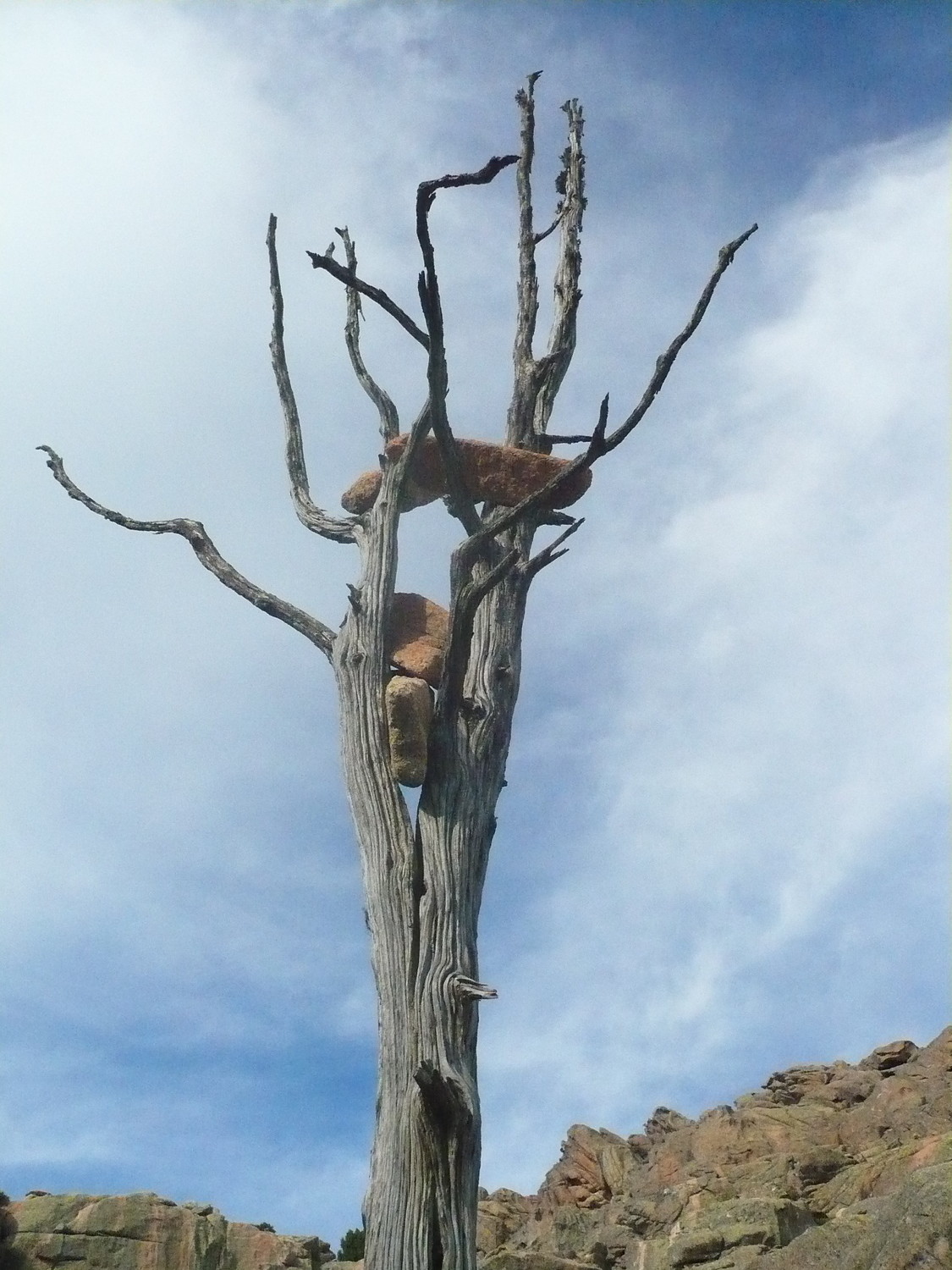le cairn hirsute