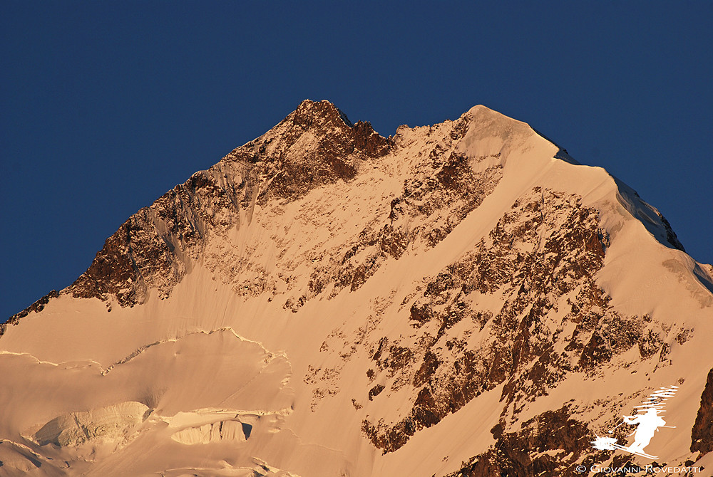 Piz Bernina 4048m all'alba da Morteratsch 1896m