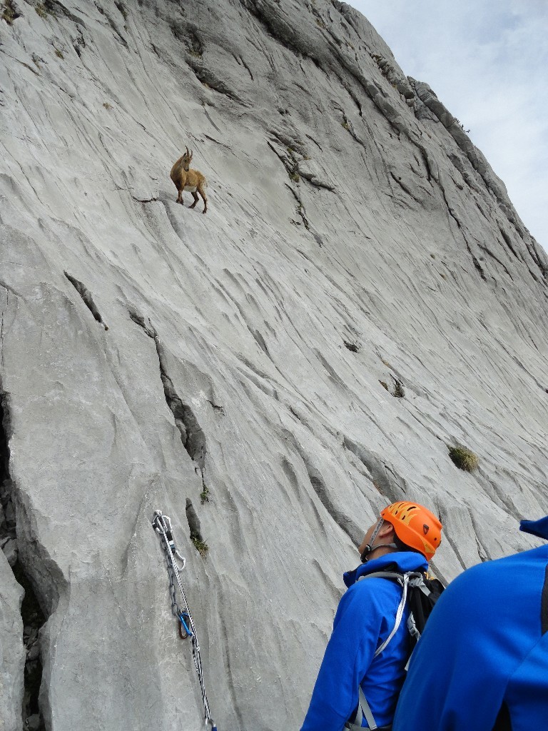 Petit coucou à R3!