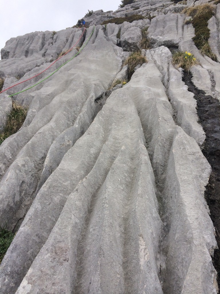 Dalles cannelées