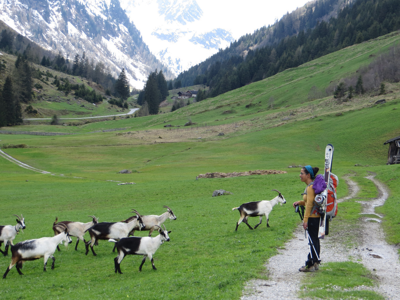 Meeting the locals on the way up