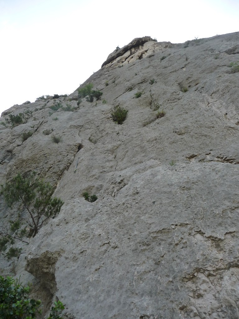 départ (on voit la sangle à gauche)