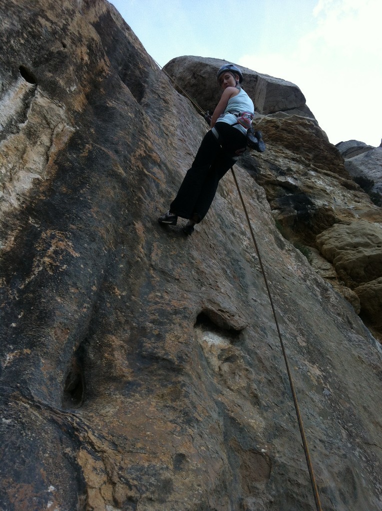 dans les rappels