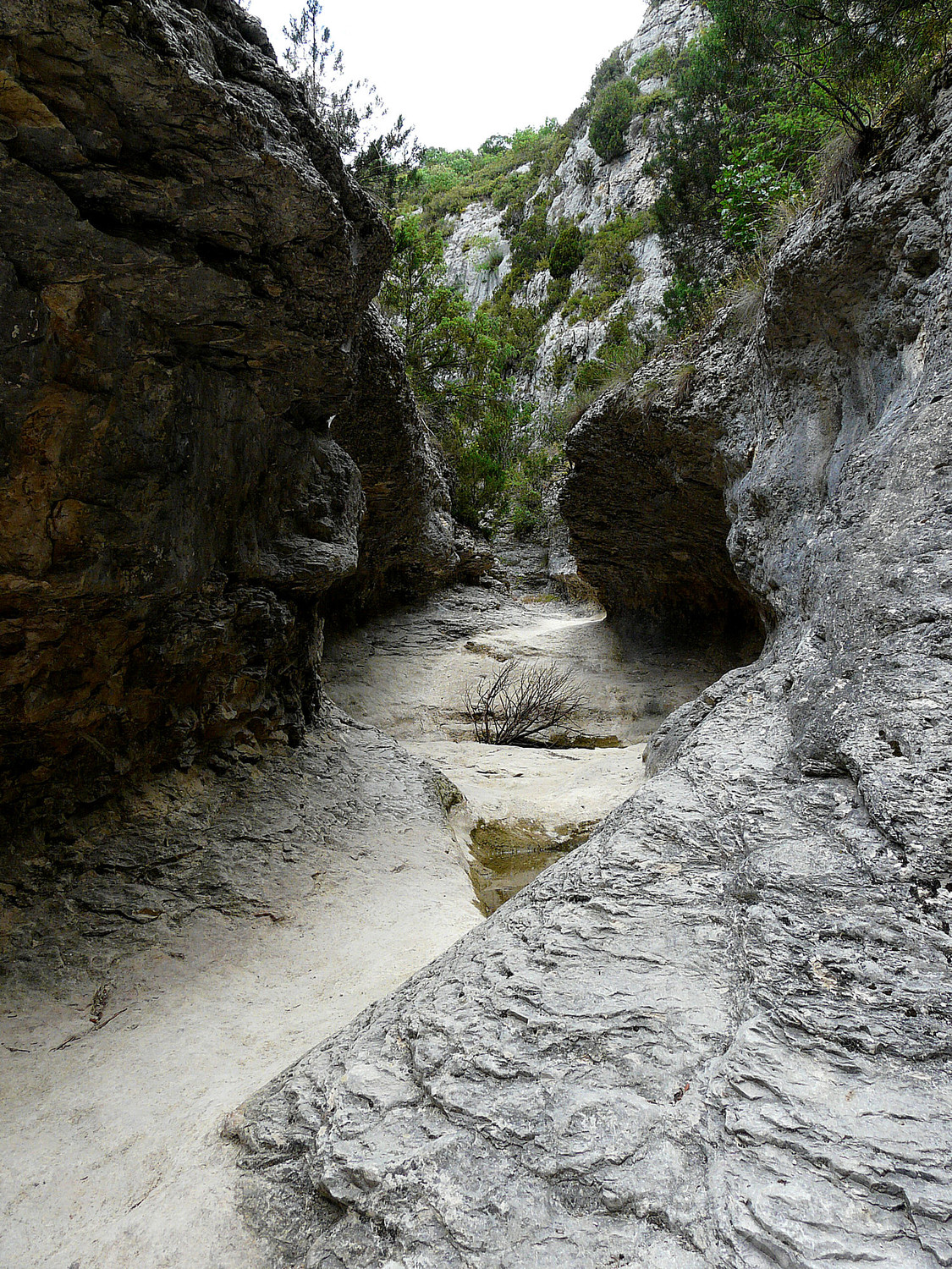 Gorges de la Véroncle