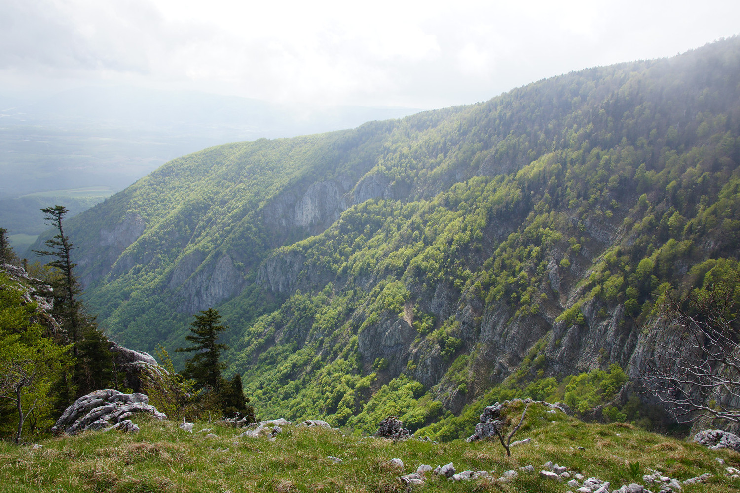 View on Jura cliffs