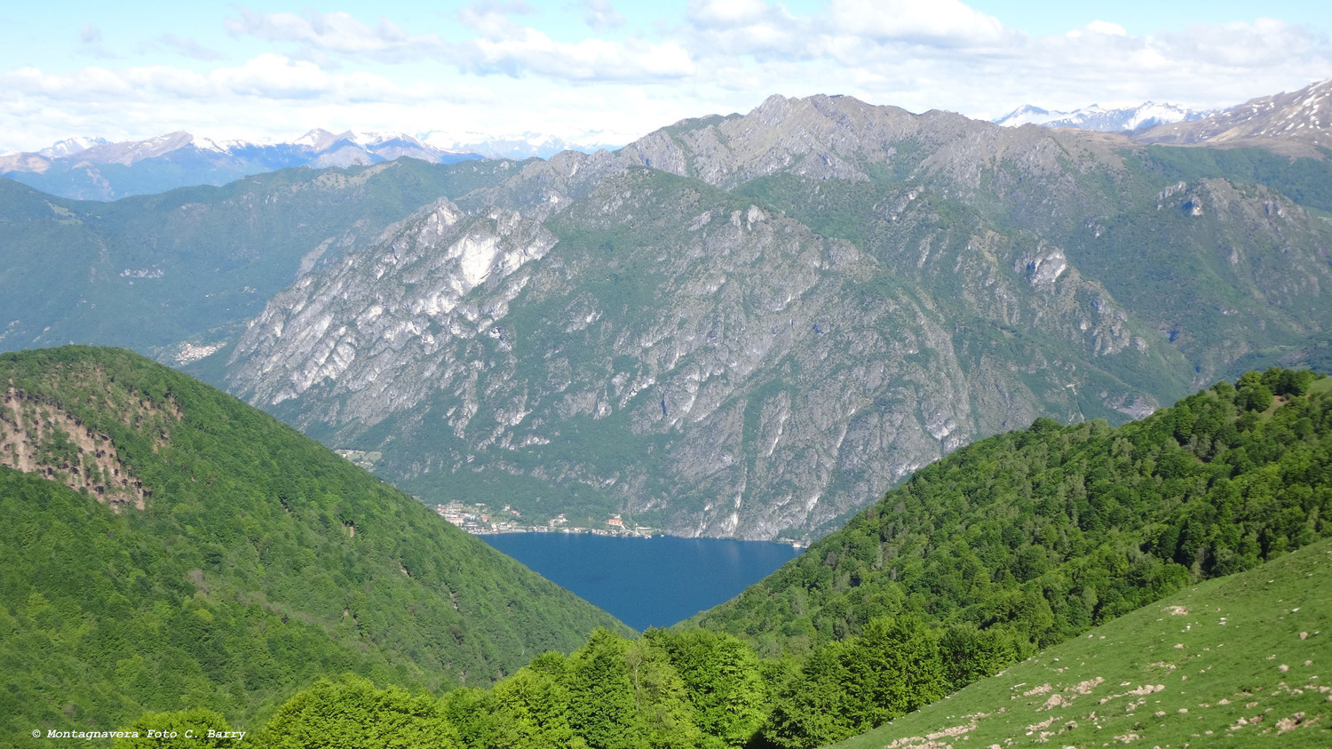 Fiorina e Lago di Lugano