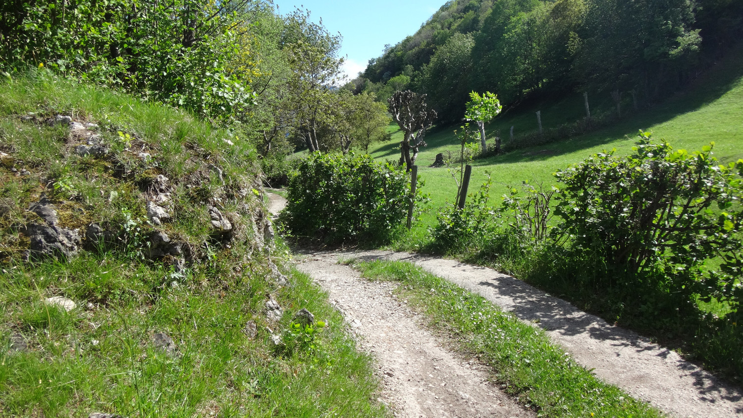vicinanze del bivio per Griante