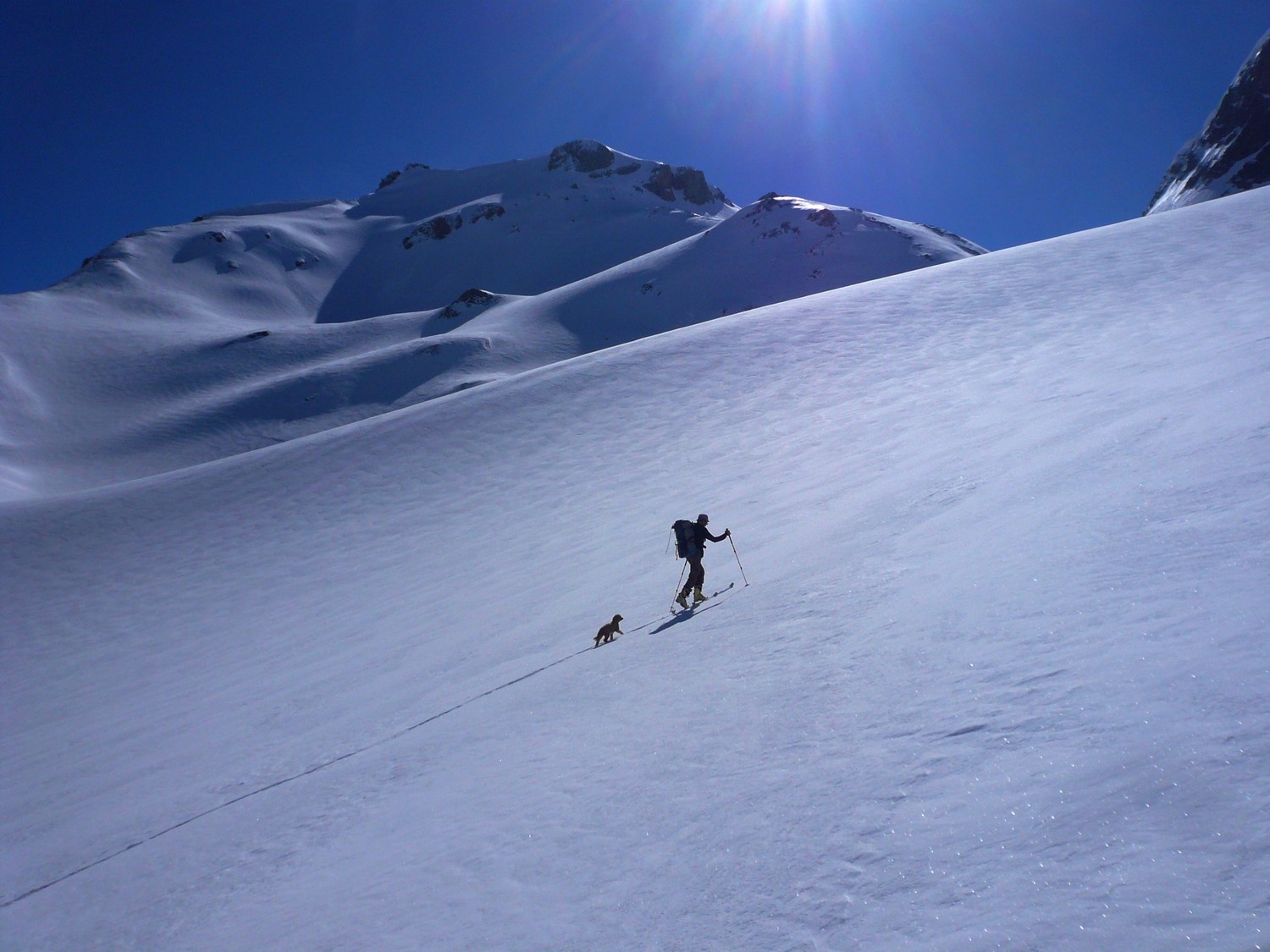 Sur le glacier
