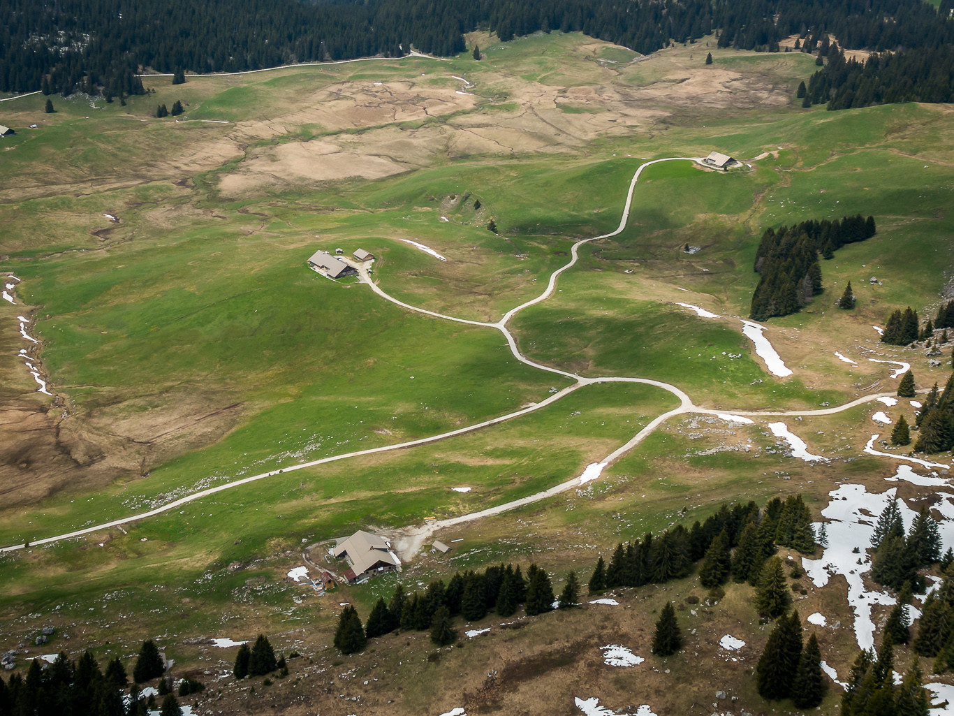 Nazca (étude)