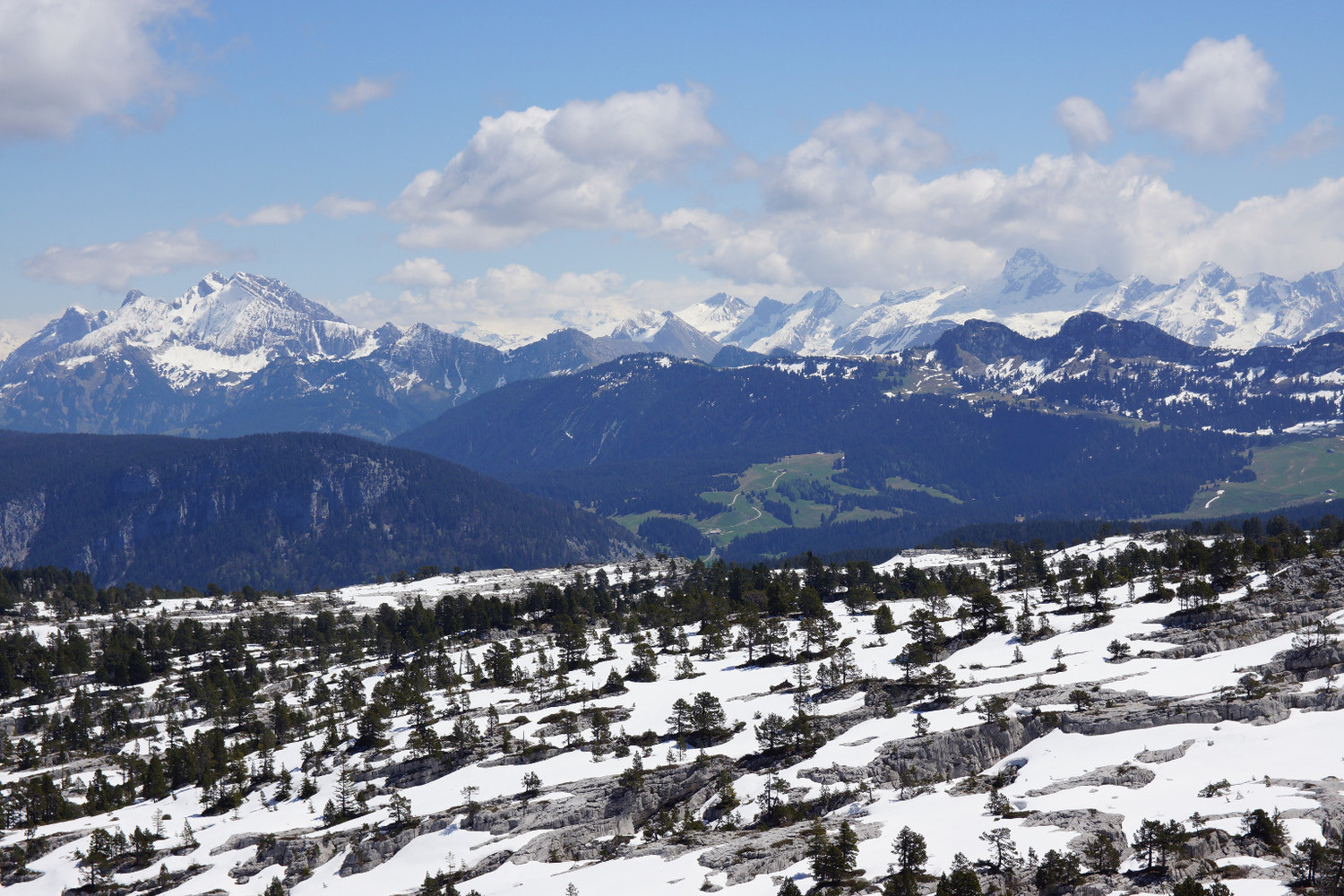 View from the top