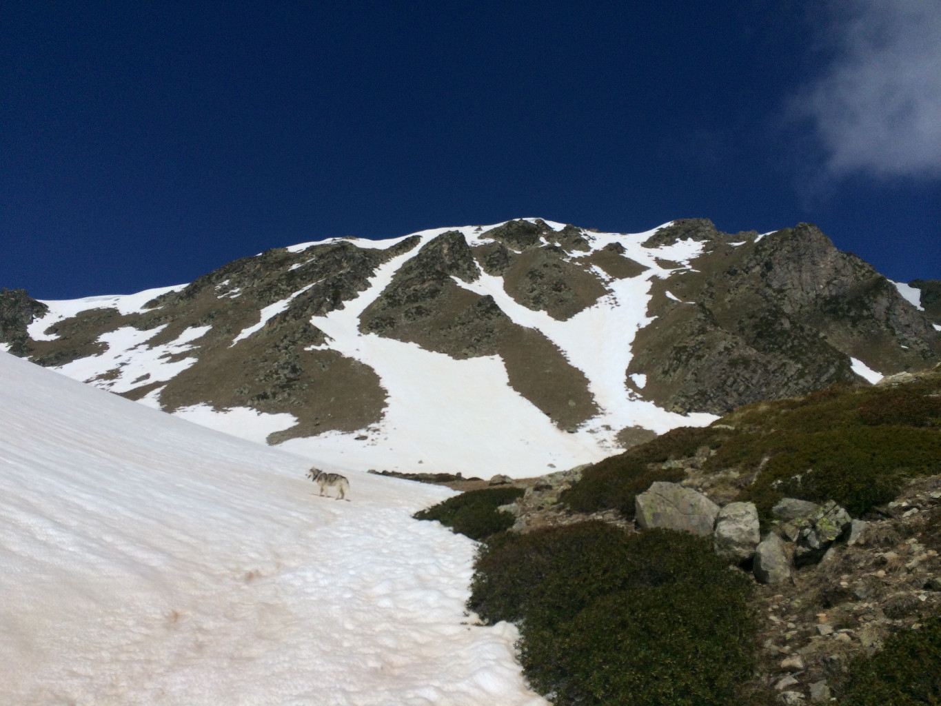 Descente descente (couloir le plus à droite celui de gauche passe en continu)