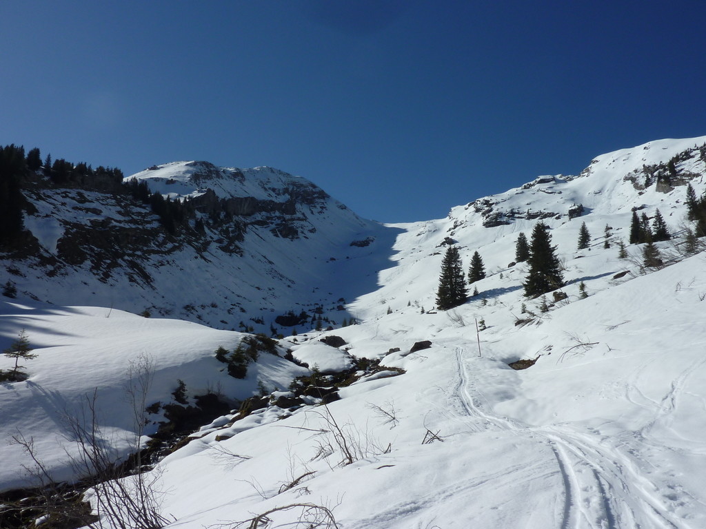 Vue sur la combe