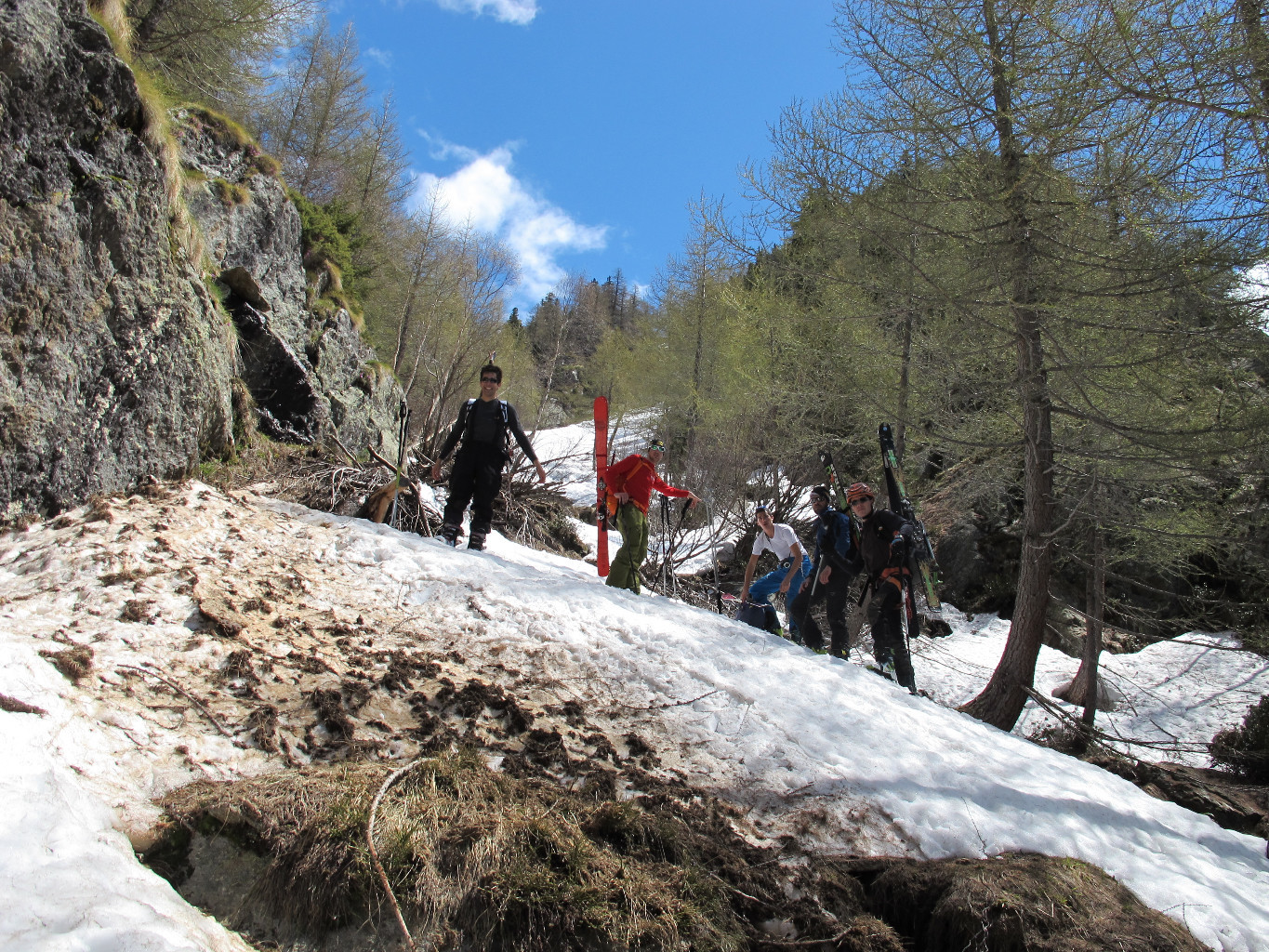 fine neve