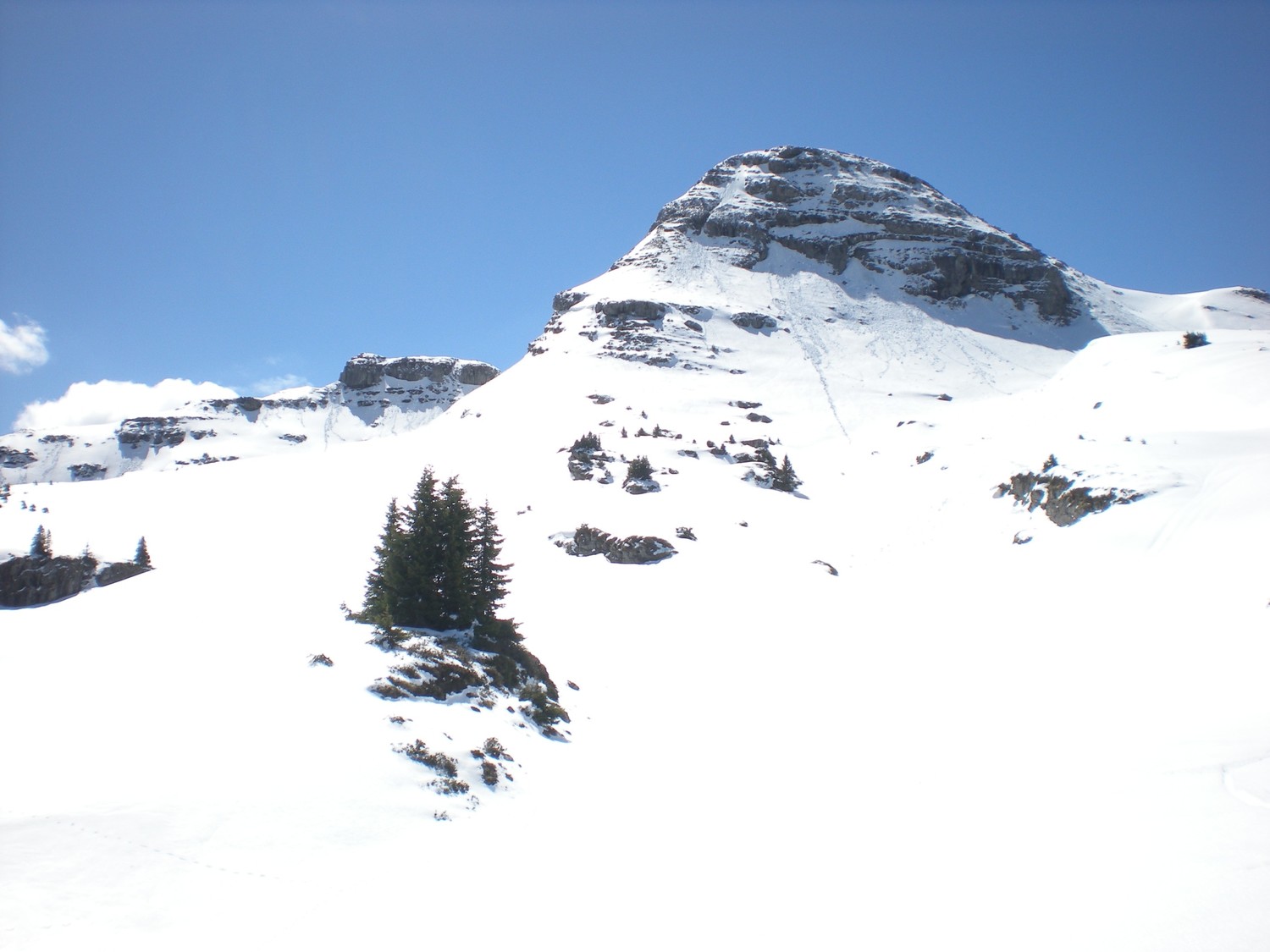 Les combes d'en haut : moquette !