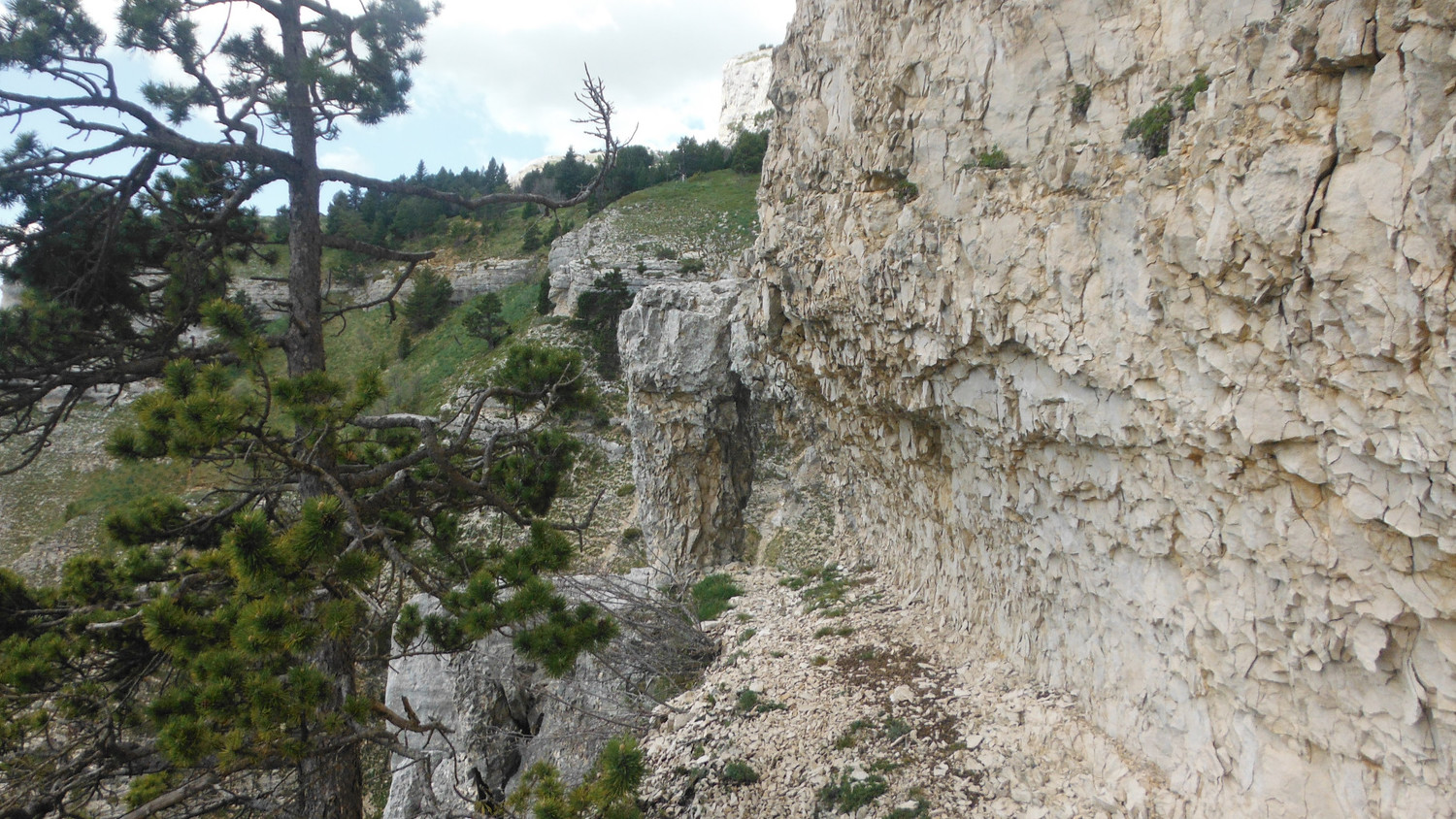 vire des bouquetins